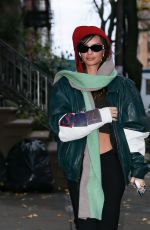EMILY RATAJKOWSKI Out and About in Brooklyn 11/16/2022
