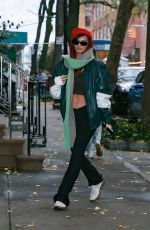 EMILY RATAJKOWSKI Out and About in Brooklyn 11/16/2022