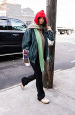 EMILY RATAJKOWSKI Out and About in Brooklyn 11/16/2022