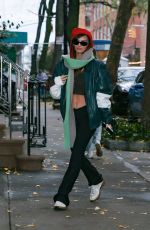 EMILY RATAJKOWSKI Out and About in New York 11/16/2022