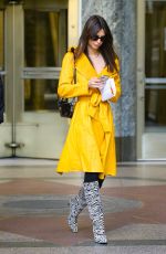 EMILY RATAJKOWSKI Out and About in New York 11/28/2022