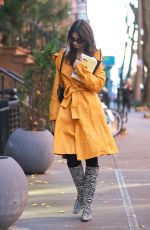 EMILY RATAJKOWSKI Out and About in New York 11/28/2022