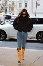 EMILY RATAJKOWSKI Out in New York 11/22/2022