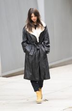 EMILY RATAJKOWSKI Out on Early Morning in New York 11/17/2022