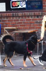 EMILY RATAJKOWSKI Out Walks Her Dog in New York 11/25/2022