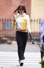 EMILY RATAJKOWSKI Out Walks Her Dog in New York 11/25/2022