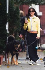 EMILY RATAJKOWSKI Out Walks Her Dog in New York 11/25/2022