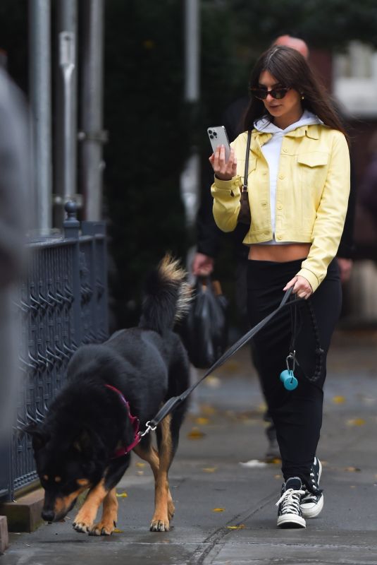 EMILY RATAJKOWSKI Out Walks Her Dog in New York 11/25/2022