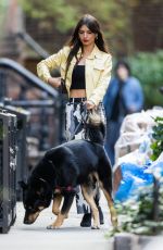 EMILY RATAJKOWSKI Out with Her Dog in New York 11/01/2022