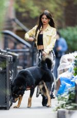 EMILY RATAJKOWSKI Out with Her Dog in New York 11/01/2022