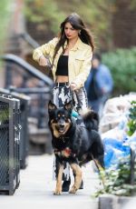 EMILY RATAJKOWSKI Out with Her Dog in New York 11/01/2022