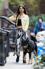 EMILY RATAJKOWSKI Out with Her Dog in New York 11/01/2022