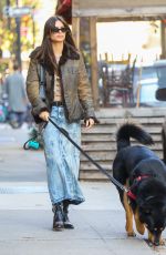 EMILY RATAJKOWSKI Out with Her Dog in New York 11/23/2022