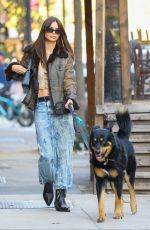 EMILY RATAJKOWSKI Out with Her Dog in New York 11/23/2022