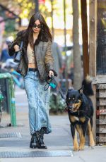 EMILY RATAJKOWSKI Out with Her Dog in New York 11/23/2022