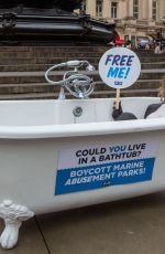 FAYE WINTER Poses for Orcas in a Bathtub in Piccadilly Circus in London 11/18/2022