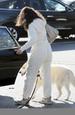 FRAN DRESCHER Out with Her Dog in Los Angeles 11/09/2022