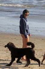 JORDANA BREWSTER and Mason Morfit Out at a Beach in Santa Barbara 11/26/2022