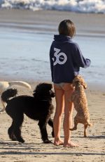 JORDANA BREWSTER and Mason Morfit Out at a Beach in Santa Barbara 11/26/2022