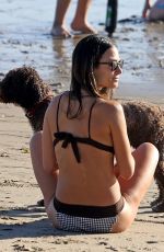 JORDANA BREWSTER in Bikini at a Beach in Santa Barbara 11/26/2022