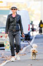 JULIANNA MARGUILES Out Shopping with Her Dog in New York 04/11/2022