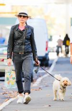 JULIANNA MARGUILES Out Shopping with Her Dog in New York 04/11/2022