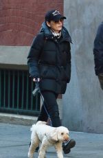 JULIANNA MARGUILES Out with Her Dog in New York 11/28/2022