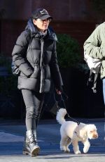 JULIANNA MARGUILES Out with Her Dog in New York 11/28/2022