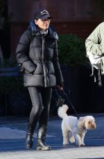 JULIANNA MARGUILES Out with Her Dog in New York 11/28/2022