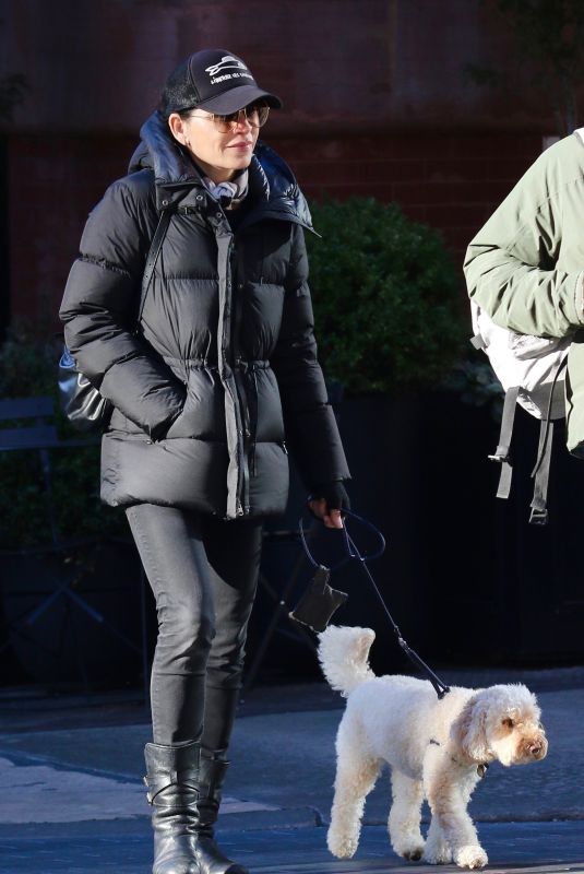 JULIANNA MARGUILES Out with Her Dog in New York 11/28/2022