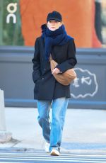JULIANNE MOORE Out and About in New York 11/23/2022