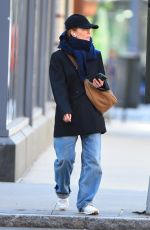 JULIANNE MOORE Out and About in New York 11/23/2022