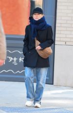 JULIANNE MOORE Out and About in New York 11/23/2022