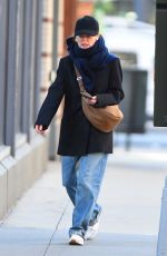 JULIANNE MOORE Out and About in New York 11/23/2022