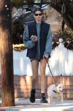 KAIA GERBER Out with Her Dog in Los Angeles 11/16/2022