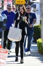 KATHERINE SCHWARZENEGGER Out and About in Pacific Palisades 11/12/2022