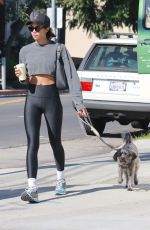 LAURA HARRIER Out for Coffee with Her Dog in Los Angeles 11/06/2022