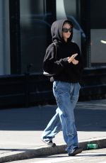LENI KLUM and Aris Rachevsky Out in New York 10/29/2022
