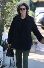 LISA RINNA and Harry Hamlin Out for Lunch in Malibu 11/13/2022