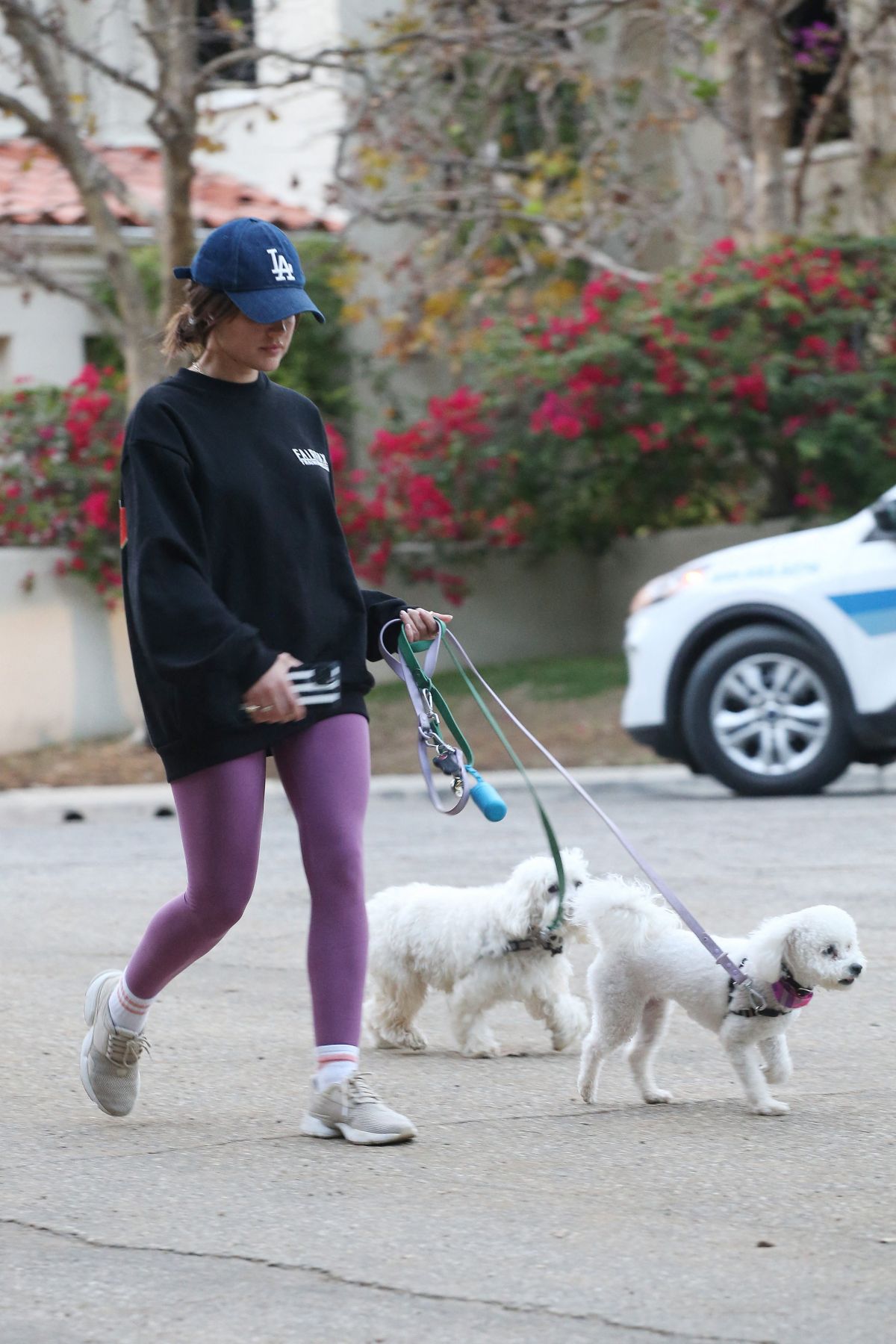 LUCY HALE Out with Her Dogs in Studio City 11/11/2022 – HawtCelebs