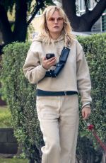 MALIN AKERMAN Out with Her Dog in Los Angeles 11/28/2022
