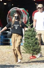 MARGOT ROBBIE and Tom Ackerley Shopping for Christmas Trees in West Hollywood 11/27/2022