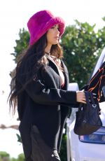 MEGAN FOX and MGK Out on Lunch Date at Nobu in Malibu 11/04/2022
