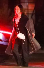 MINKA KELLY and Dan Reynolds Night Out in Los Angeles 11/27/2022