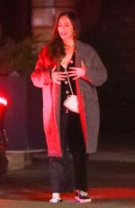 MINKA KELLY and Dan Reynolds Night Out in Los Angeles 11/27/2022