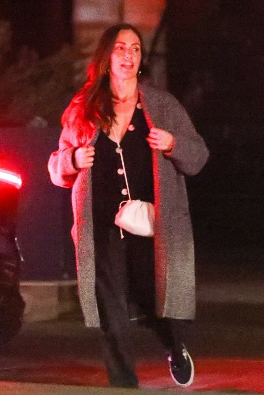 MINKA KELLY and Dan Reynolds Night Out in Los Angeles 11/27/2022