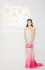 MINNIE MILLS at Cfda Fashion Awards in New York 11/07/2022