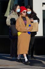 NATALIA DYER Out with a Friend in New York 11/22/2022