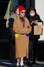 NATALIA DYER Out with a Friend in New York 11/22/2022