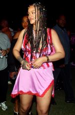 RIHANNA at Imagine Reggae Festival in Barbados 11/27/2022